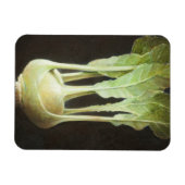 Kohl Rabi 2012 Magnet (Horizontal)