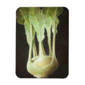 Kohl Rabi 2012 Magnet (Vertikal)