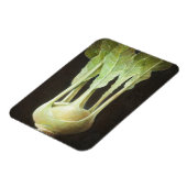 Kohl Rabi 2012 Magnet (Linke Seite)