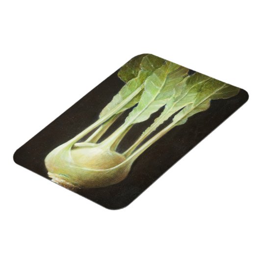 Kohl Rabi 2012 Magnet (Linke Seite)