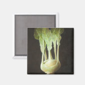 Kohl Rabi 2012 Magnet (Vorderseite/Rückseite)
