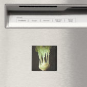 Kohl Rabi 2012 Magnet (In Situ (Geschirrspüler))