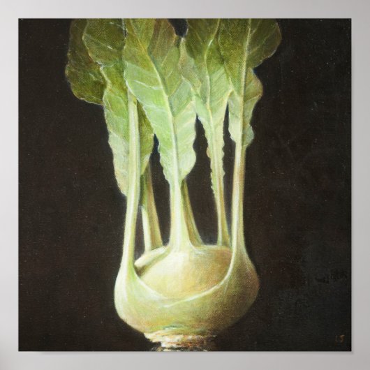 Kohl Rabi 2012 Poster (Vorne)