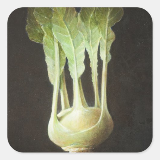 Kohl Rabi 2012 Quadratischer Aufkleber (Vorderseite)