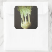 Kohl Rabi 2012 Quadratischer Aufkleber (Tasche)