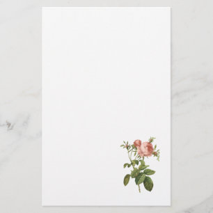 Kohl-Rose (Rosa centifolia foliacea) durch Redouté Briefpapier