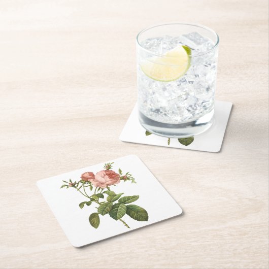 Kohl-Rose (Rosa centifolia foliacea) von Redout Rechteckiger Pappuntersetzer (Vor Ort)