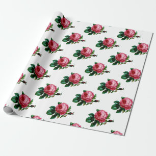 Kohl Rose Wrapping Paper Geschenkpapier