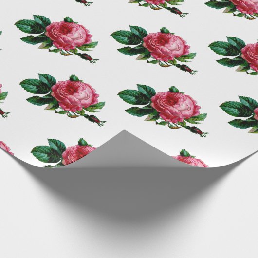 Kohl Rose Wrapping Paper Geschenkpapier (Ecke)