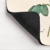 Kohl-Rosen-botanischer Druck Mousepad (Ecke)