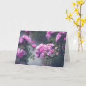 Kohl-Rosen Karte (Gelbe Blume)