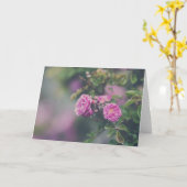 Kohl-Rosen Karte (Gelbe Blume)