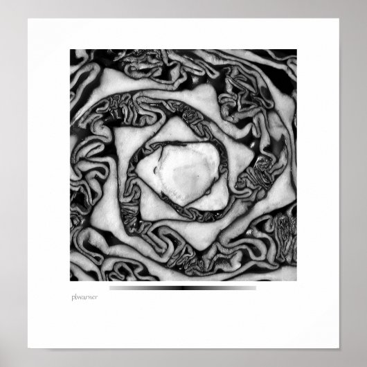 Kohl, schwarz und weiß poster (Vorne)