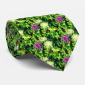Kohl und Primulas Krawatte (Gerollt)