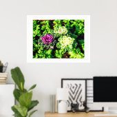 Kohl und Primulas Poster (Heimbüro)