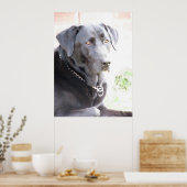 Kohle Poster (Küche)