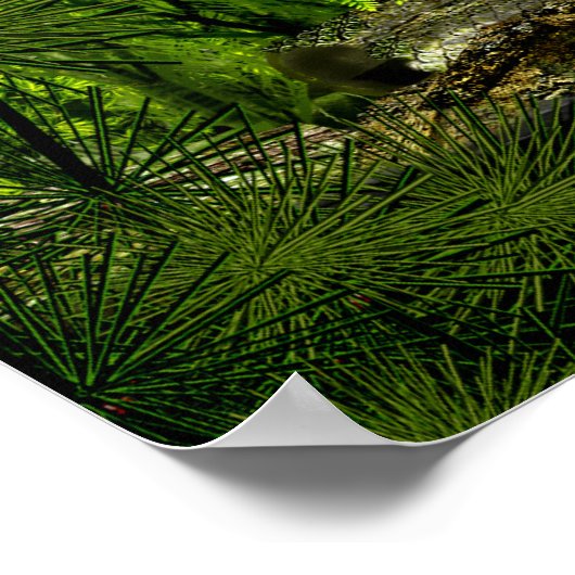 Kohlenstoff-Tiefwald 2 Poster (Ecke)