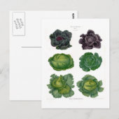 Kohlköpfe Postkarte (Vorne/Hinten)