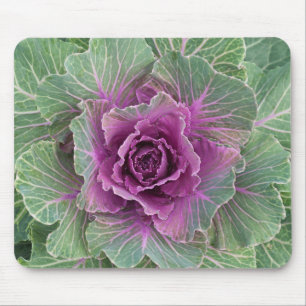 Kohlpflanze Mousepad