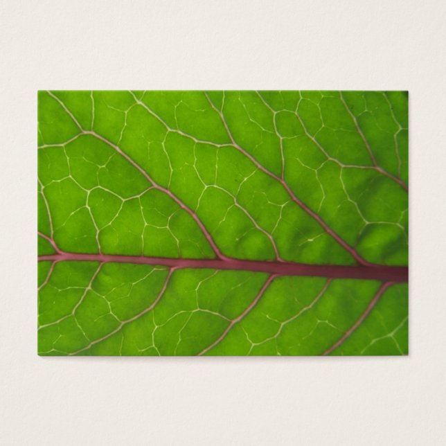 Kohlrabi Leaf ~ ATC (Vorderseite)