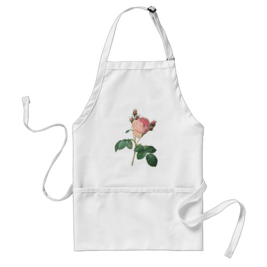 Kohlrose Botanischer Druck Schürze (Vorne)