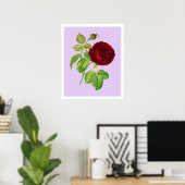 Kohlrose Poster (Heimbüro)
