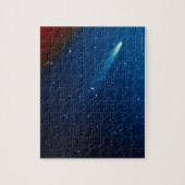 Kohoutek Comet Puzzle (Vertikal)