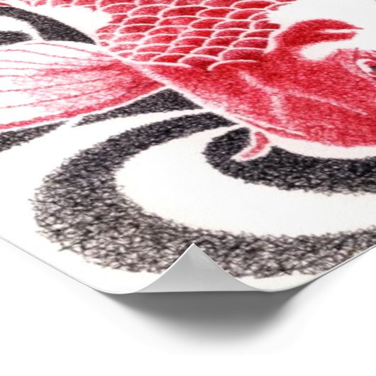 koi02poster16,5by11b poster (Ecke)