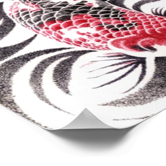 koi02poster16,5by11mirror2 poster (Ecke)