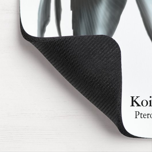 Koi Angelfish Mousepad (Ecke)