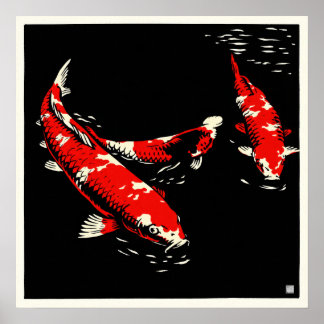 Koi - Archiv-Kunstdruck Poster