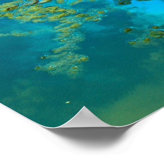 koi blau poster (Ecke)