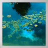 koi blau poster (Vorne)