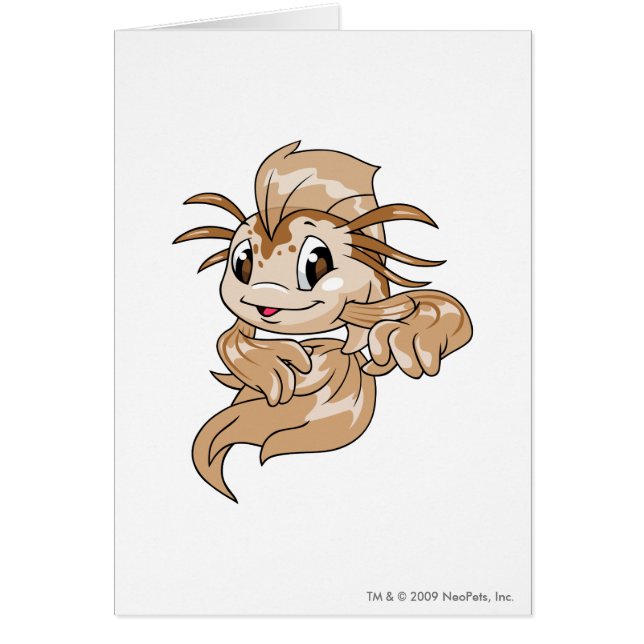 Koi Brown (Vorne)
