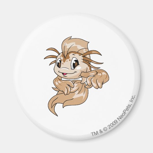 Koi Brown Magnet (Vorne)