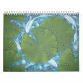 koi calander kalender (Titelbild)