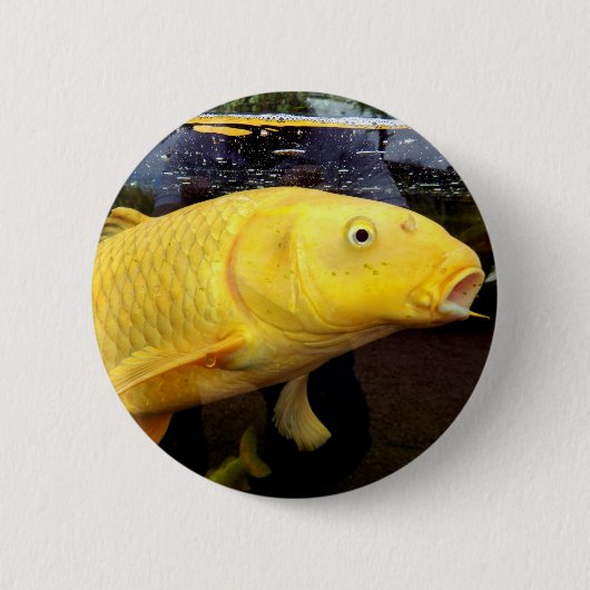 Koi Carp Abzeichen Button (Vorderseite)