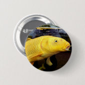 Koi Carp Abzeichen Button (Vorne & Hinten)