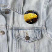 Koi Carp Abzeichen Button (Beispiel)