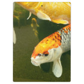 Koi Carp Clipboard Klemmbrett (Rückseite)