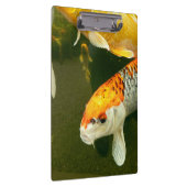 Koi Carp Clipboard Klemmbrett (Rechts)