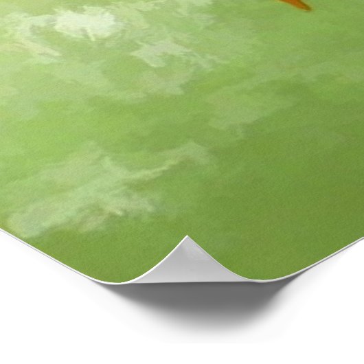 Koi Carp Fish Poster (Ecke)