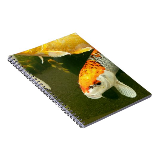 Koi Carp Foto Notebook Notizblock (Rechte Seite)