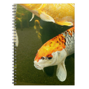 Koi Carp Foto Notebook Notizblock