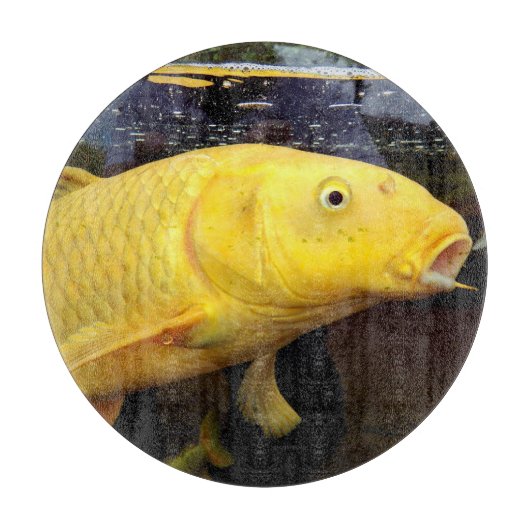Koi Carp Glass Chopping Board Schneidebrett (Vorderseite)