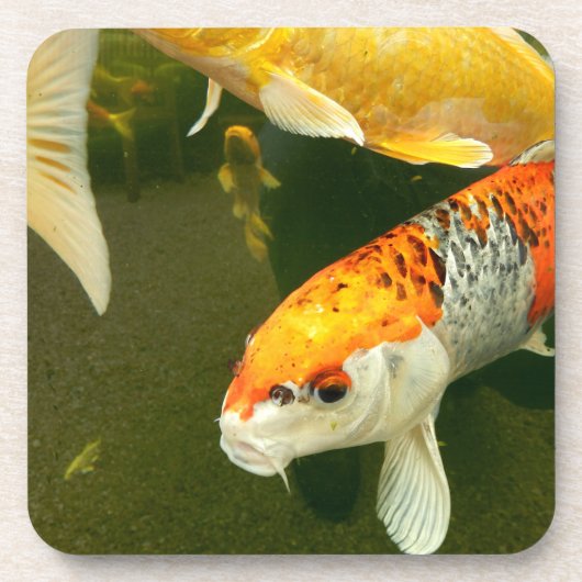 Koi Carp Hard Plastic Untersetzer (Vorderseite)