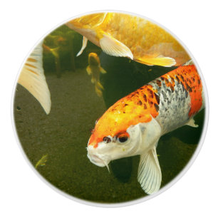 Koi Carp Keramik Knob Keramikknauf