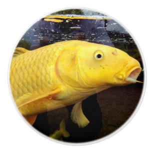 Koi Carp Keramik Knob Keramikknauf