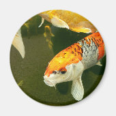 Koi Carp Magnet (Vorne)