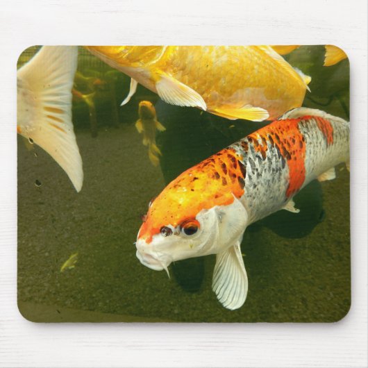Koi Carp Mouse Mat Mousepad (Vorne)